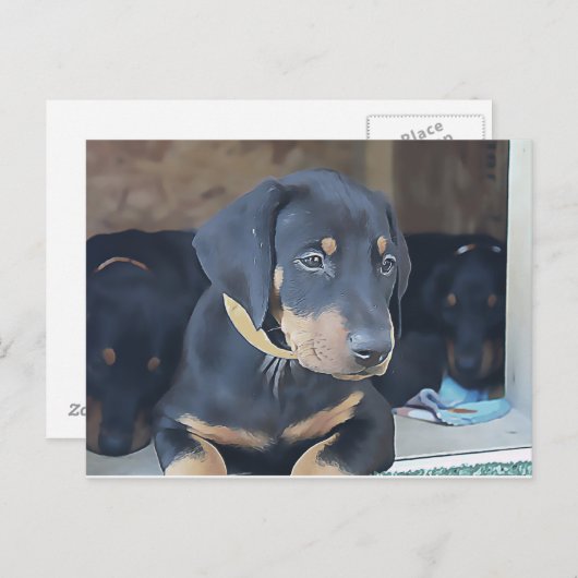 Black Doberman Puppy Briefkaart (Voorkant / Achterkant)