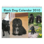Black Dog Calendar 2010 Kalender (Hoes)