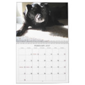 Black Dog Calendar 2010 Kalender (Feb 2027)