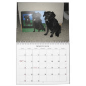 Black Dog Calendar 2010 Kalender (Mar 2026)