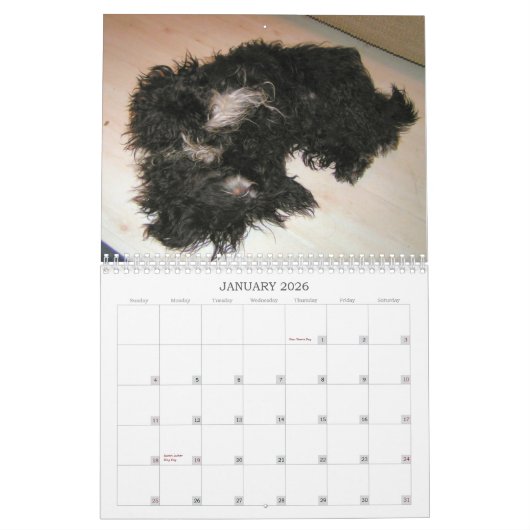 Black Dog Calendar 2010 Kalender (Jan 2026)