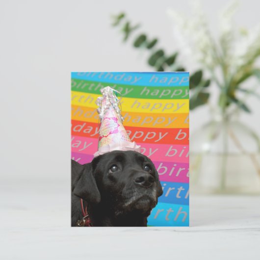 Black Dog Colorful Happy Birthday Text Briefkaart (Staand voorkant)