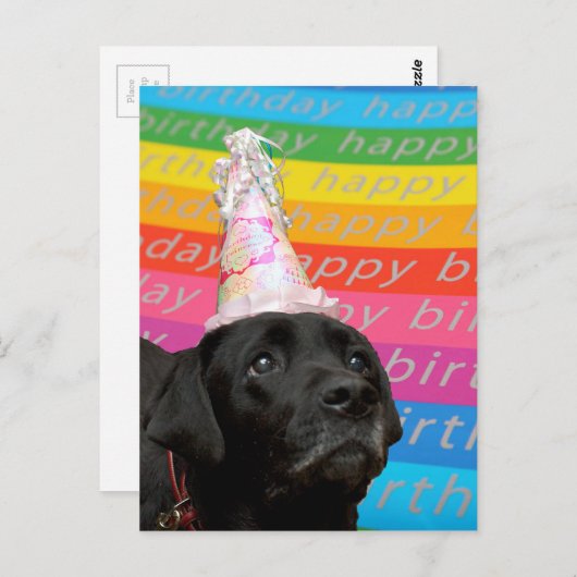 Black Dog Colorful Happy Birthday Text Briefkaart (Voorkant / Achterkant)