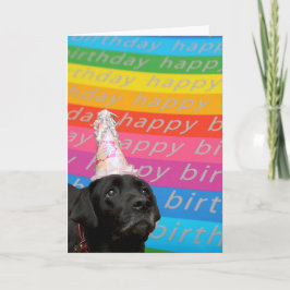 Black Dog Colorful Happy Birthday Text Kaart