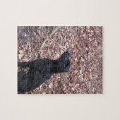 Black Dog Photo Legpuzzel (Horizontaal)