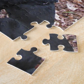 Black Dog Photo Legpuzzel (Zijkant)