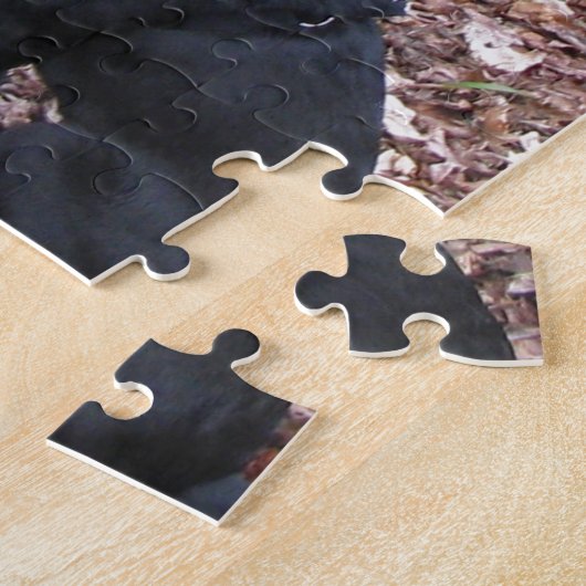 Black Dog Photo Legpuzzel (Zijkant)