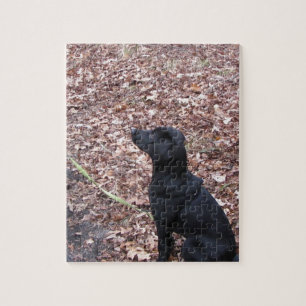 Black Dog Photo Legpuzzel