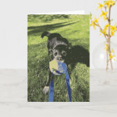 Black Dog Playing Tug Of War Husky Lab Puppy Kaart (Gele Bloem)