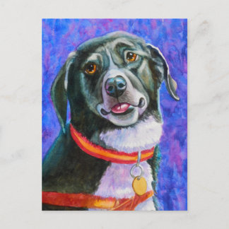 Black Dog Raspberry Briefkaart