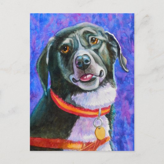 Black Dog Raspberry Briefkaart (Voorkant)