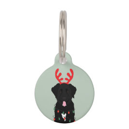 Black Dog Reindeer-kerstlampjes Huisdierpenning