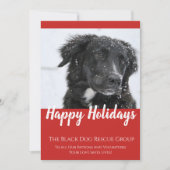 Black Dog Rescue Organization Holiday Card Feestdagenkaart (Voorkant)