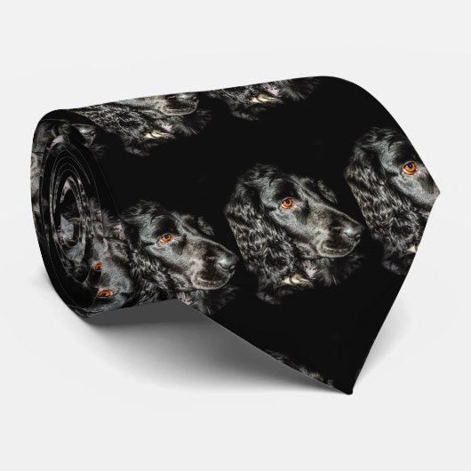 Black Dog Stropdas (Opgerold)