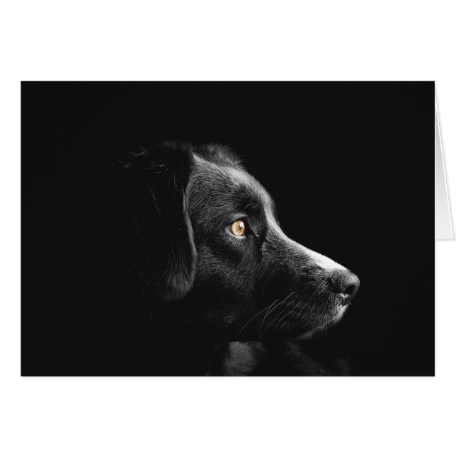 Black Dog Watching (Voorkant Horizontaal)