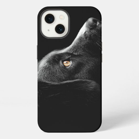 Black Dog Watching iPhone Hoesje (Achterkant)