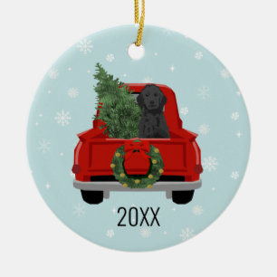 Black Doodle Dog Red-kersttruck Ornament