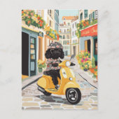 Black Doodle Riding Scooter European City Streets Briefkaart (Voorkant)