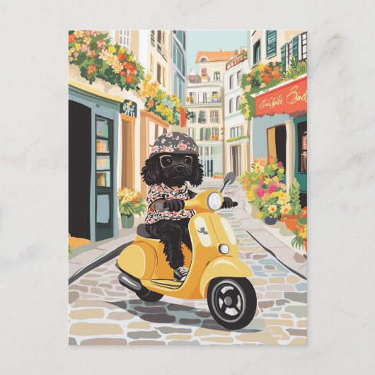 Black Doodle Riding Scooter European City Streets Briefkaart (Voorkant)
