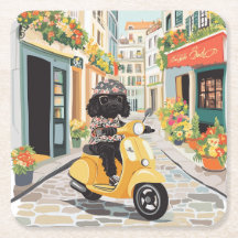 Black Doodle Riding Scooter European City Streets