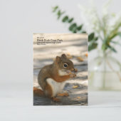 Black Duck Cove Park Briefkaart (Staand voorkant)