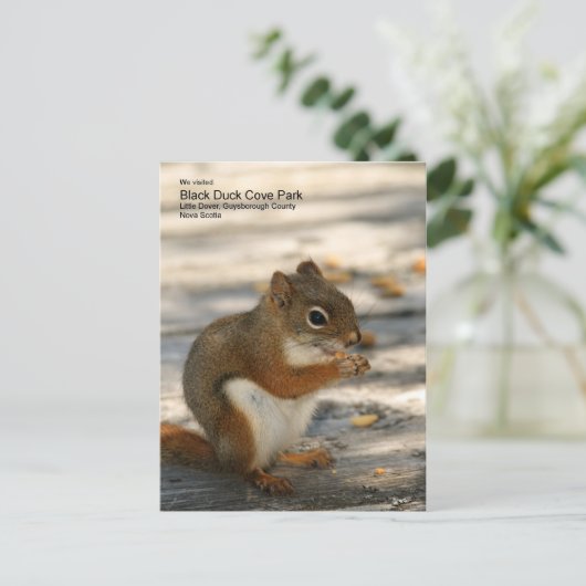 Black Duck Cove Park Briefkaart (Staand voorkant)