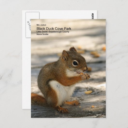 Black Duck Cove Park Briefkaart (Voorkant / Achterkant)