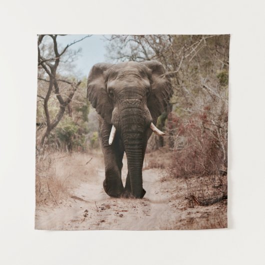 BLACK ELEPHANT WALKING ON BROWN SAND WANDKLEED (Voorkant)