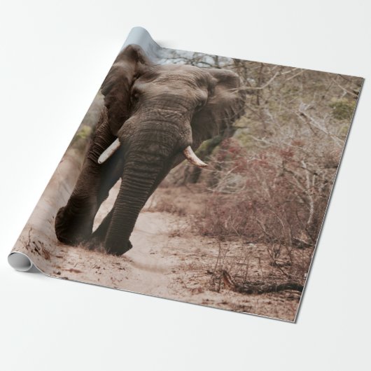 BLACK ELEPHANT WALT IN BROWN SAND CADEAUPAPIER (Uitgerold)