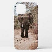 BLACK ELEPHANT WALT IN BROWN SAND Case-Mate iPhone CASE (Achterkant)