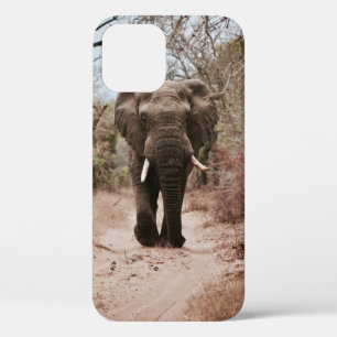 BLACK ELEPHANT WALT IN BROWN SAND Case-Mate iPhone CASE