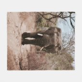 BLACK ELEPHANT WALT IN BROWN SAND FLEECE DEKEN (Voorkant (Horizontaal))