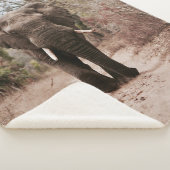 BLACK ELEPHANT WALT IN BROWN SAND SHERPA DEKEN (3/4)