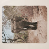 BLACK ELEPHANT WALT IN BROWN SAND SHERPA DEKEN (Voorkant (horizontaal))