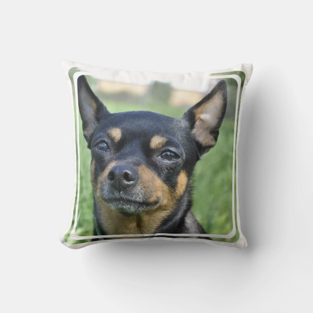 Black en Brown Chihuahua Pillow Kussen (Voorkant)