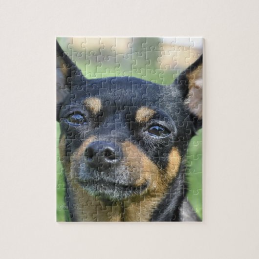 Black en Brown Chihuahua Puzzle Legpuzzel (Verticaal)