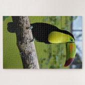 Black en Green Toucan op Tree Branch Legpuzzel (Horizontaal)