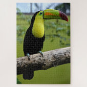 Black en Green Toucan op Tree Branch Legpuzzel (Verticaal)