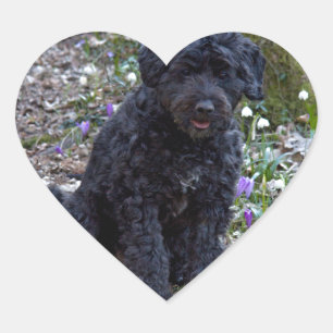 Black English Springer Spaniel Hart Sticker