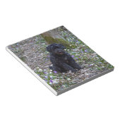 Black English Springer Spaniel Notitieblok (Schuin)