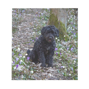 Black English Springer Spaniel Notitieblok