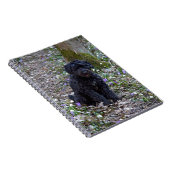Black English Springer Spaniel Notitieboek (Rechterzijde)