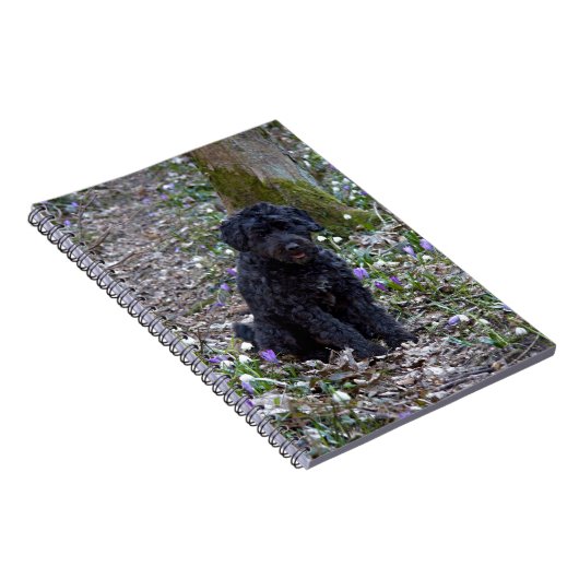 Black English Springer Spaniel Notitieboek (Rechterzijde)