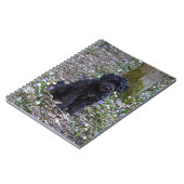 Black English Springer Spaniel Notitieboek (Linkerzijde)