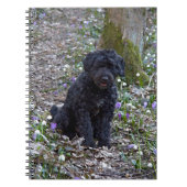 Black English Springer Spaniel Notitieboek (Voorkant)