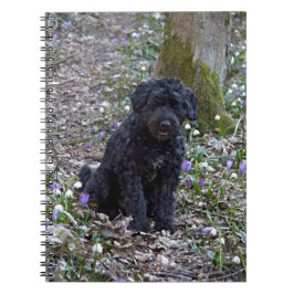 Black English Springer Spaniel Notitieboek