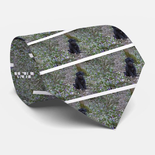 Black English Springer Spaniel Stropdas (Opgerold)