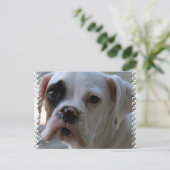 Black Eyed Boxer Dog Briefkaart (Staand voorkant)