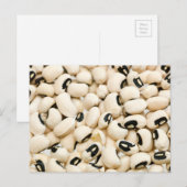 Black Eyed Peas Briefkaart (Voorkant / Achterkant)