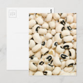 Black Eyed Peas Briefkaart (Voorkant / Achterkant)